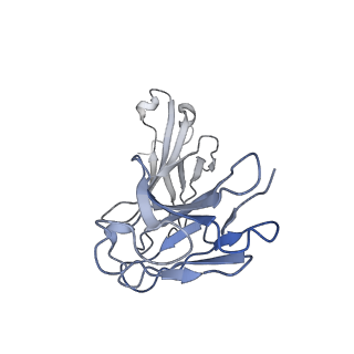 23296_7lf0_I_v1-0
Trimeric human Arginase 1 in complex with mAb2