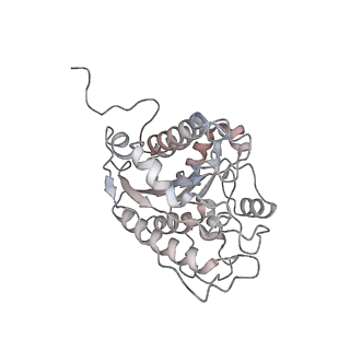 23296_7lf0_J_v1-0
Trimeric human Arginase 1 in complex with mAb2