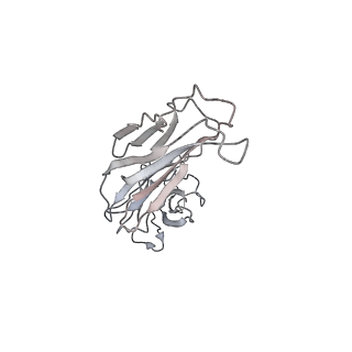 23296_7lf0_K_v1-0
Trimeric human Arginase 1 in complex with mAb2