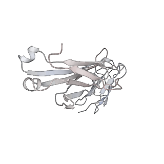 23296_7lf0_L_v1-0
Trimeric human Arginase 1 in complex with mAb2