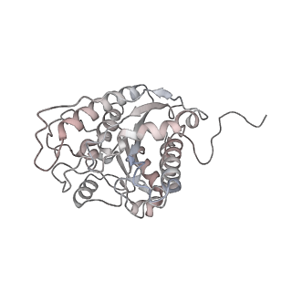 23296_7lf0_M_v1-0
Trimeric human Arginase 1 in complex with mAb2