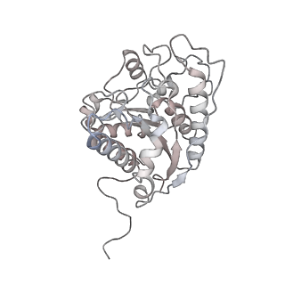 23296_7lf0_N_v1-0
Trimeric human Arginase 1 in complex with mAb2