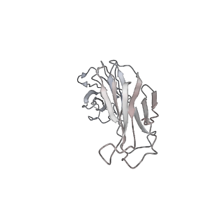 23296_7lf0_Q_v1-0
Trimeric human Arginase 1 in complex with mAb2