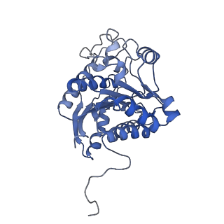 23297_7lf1_A_v1-0
Trimeric human Arginase 1 in complex with mAb3