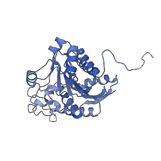23297_7lf1_B_v1-0
Trimeric human Arginase 1 in complex with mAb3