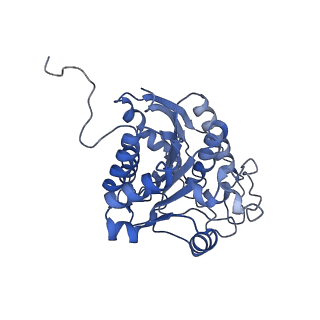 23297_7lf1_C_v1-0
Trimeric human Arginase 1 in complex with mAb3