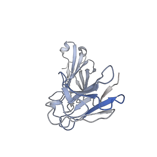 23297_7lf1_E_v1-0
Trimeric human Arginase 1 in complex with mAb3