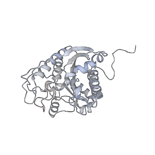 23297_7lf1_J_v1-0
Trimeric human Arginase 1 in complex with mAb3