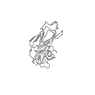 23297_7lf1_K_v1-0
Trimeric human Arginase 1 in complex with mAb3