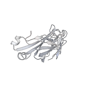 23297_7lf1_L_v1-0
Trimeric human Arginase 1 in complex with mAb3