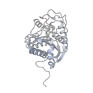 23297_7lf1_M_v1-0
Trimeric human Arginase 1 in complex with mAb3
