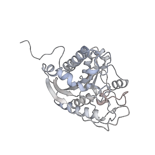 23297_7lf1_N_v1-0
Trimeric human Arginase 1 in complex with mAb3
