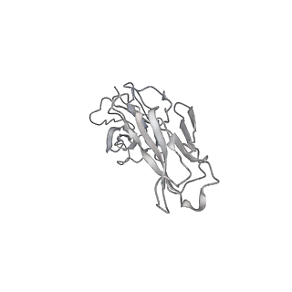 23297_7lf1_O_v1-0
Trimeric human Arginase 1 in complex with mAb3