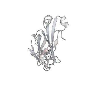 23297_7lf1_Q_v1-0
Trimeric human Arginase 1 in complex with mAb3