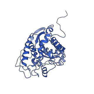 23298_7lf2_A_v1-0
Trimeric human Arginase 1 in complex with mAb4