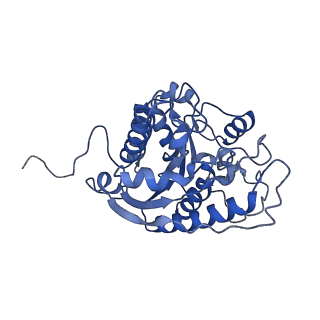23298_7lf2_C_v1-0
Trimeric human Arginase 1 in complex with mAb4