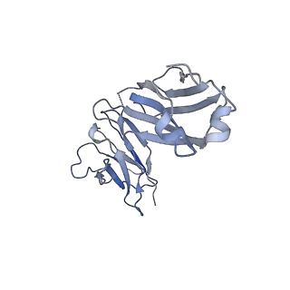 23298_7lf2_E_v1-0
Trimeric human Arginase 1 in complex with mAb4