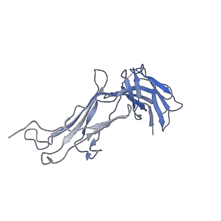 23298_7lf2_G_v1-0
Trimeric human Arginase 1 in complex with mAb4