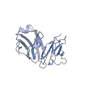 23298_7lf2_I_v1-0
Trimeric human Arginase 1 in complex with mAb4