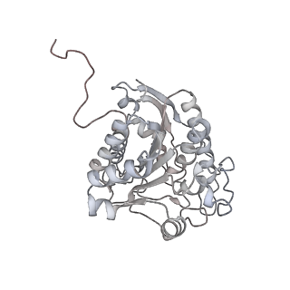 23298_7lf2_J_v1-0
Trimeric human Arginase 1 in complex with mAb4