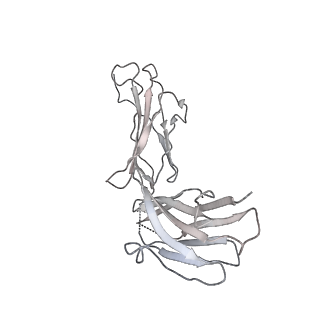23298_7lf2_K_v1-0
Trimeric human Arginase 1 in complex with mAb4