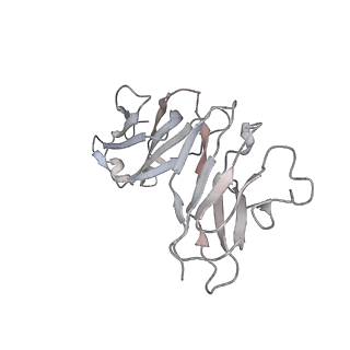 23298_7lf2_L_v1-0
Trimeric human Arginase 1 in complex with mAb4