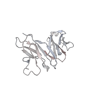 23298_7lf2_M_v1-0
Trimeric human Arginase 1 in complex with mAb4