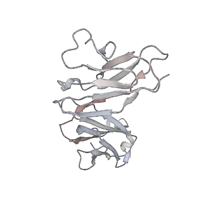 23298_7lf2_N_v1-0
Trimeric human Arginase 1 in complex with mAb4