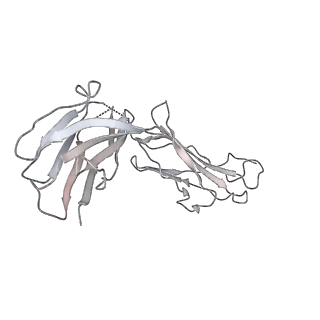 23298_7lf2_O_v1-0
Trimeric human Arginase 1 in complex with mAb4