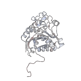 23298_7lf2_Q_v1-0
Trimeric human Arginase 1 in complex with mAb4