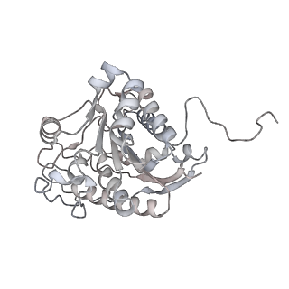 23298_7lf2_R_v1-0
Trimeric human Arginase 1 in complex with mAb4
