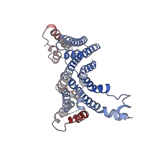 23300_7lf6_A_v1-1
Structure of lysosomal membrane protein