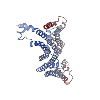 23300_7lf6_B_v1-1
Structure of lysosomal membrane protein