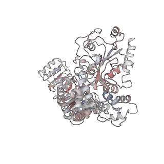 23302_7lfh_A_v1-1
Cryo-EM structure of NLRP3 double-ring cage, 6-fold (12-mer)