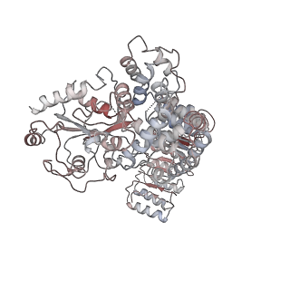 23302_7lfh_E_v2-0
Cryo-EM structure of NLRP3 double-ring cage, 6-fold (12-mer)