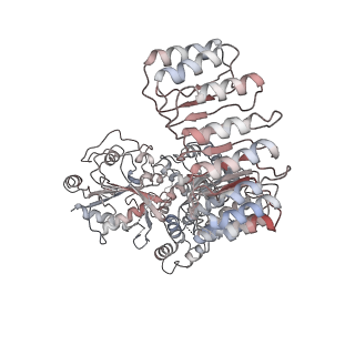 23302_7lfh_F_v2-0
Cryo-EM structure of NLRP3 double-ring cage, 6-fold (12-mer)