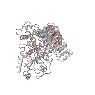 23302_7lfh_G_v1-1
Cryo-EM structure of NLRP3 double-ring cage, 6-fold (12-mer)
