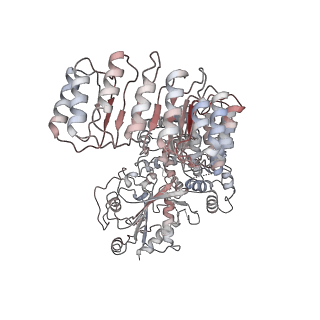 23302_7lfh_H_v2-0
Cryo-EM structure of NLRP3 double-ring cage, 6-fold (12-mer)