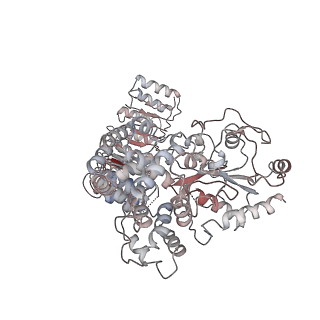 23302_7lfh_K_v2-0
Cryo-EM structure of NLRP3 double-ring cage, 6-fold (12-mer)