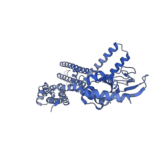 23306_7lft_A_v1-1
Cryo-EM structure of human Apo CNGA1 channel in K+/Ca2+