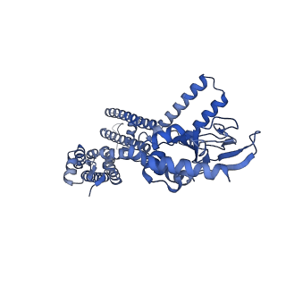 23306_7lft_A_v1-2
Cryo-EM structure of human Apo CNGA1 channel in K+/Ca2+