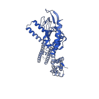 23306_7lft_B_v1-1
Cryo-EM structure of human Apo CNGA1 channel in K+/Ca2+