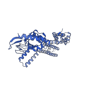 23306_7lft_C_v1-1
Cryo-EM structure of human Apo CNGA1 channel in K+/Ca2+
