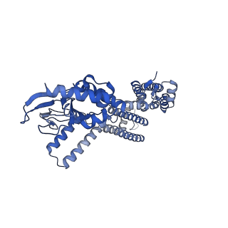 23306_7lft_C_v1-2
Cryo-EM structure of human Apo CNGA1 channel in K+/Ca2+