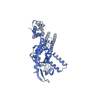 23306_7lft_D_v1-1
Cryo-EM structure of human Apo CNGA1 channel in K+/Ca2+