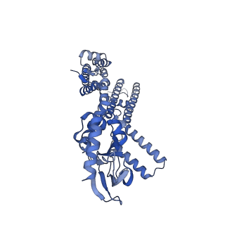 23306_7lft_D_v1-2
Cryo-EM structure of human Apo CNGA1 channel in K+/Ca2+