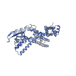 23307_7lfw_A_v1-2
Cryo-EM structure of human cGMP-bound open CNGA1 channel in K+/Ca2+