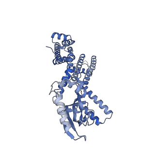 23307_7lfw_B_v1-1
Cryo-EM structure of human cGMP-bound open CNGA1 channel in K+/Ca2+