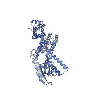 23307_7lfw_B_v1-2
Cryo-EM structure of human cGMP-bound open CNGA1 channel in K+/Ca2+