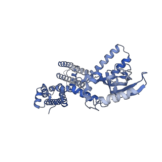 23307_7lfw_C_v1-1
Cryo-EM structure of human cGMP-bound open CNGA1 channel in K+/Ca2+